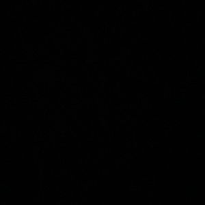 look around my closet!